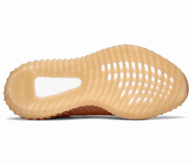 multipurpose - shoes Early morning essential Adidas Yeezy Boost 350 V2 (Mono Clay)