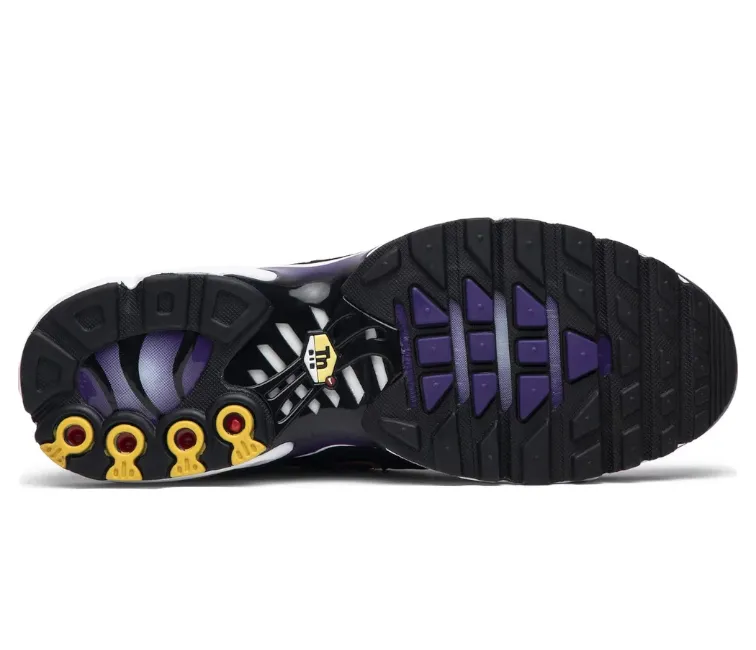 Icy Terrain Men's Nike Air Max Plus TN OG (Voltage Purple)