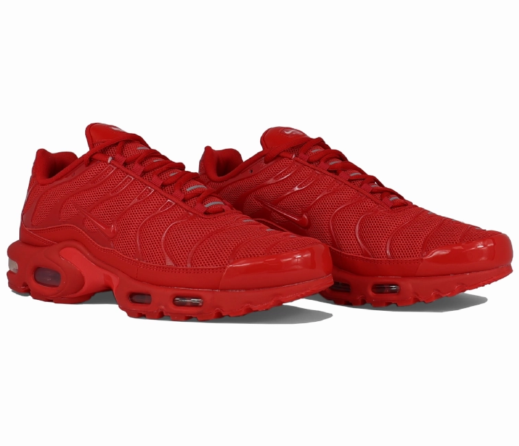 Race - worthy trainers' selection Men's Nike Air Max Plus TN (Lava)