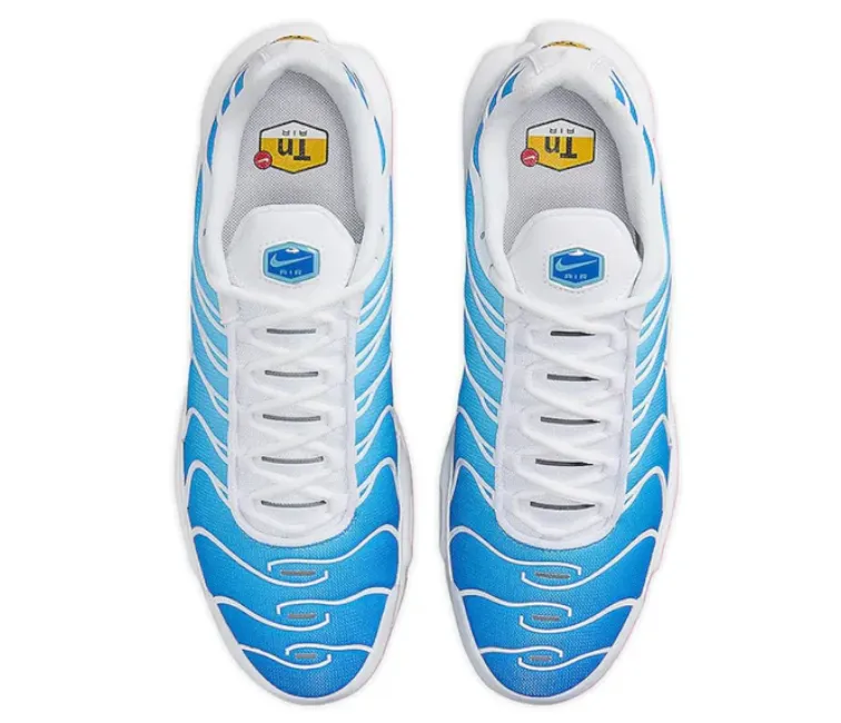 eco - friendly running shoes heat - resistant shoes Men's Nike Air Max Plus TN (Battle Blue)