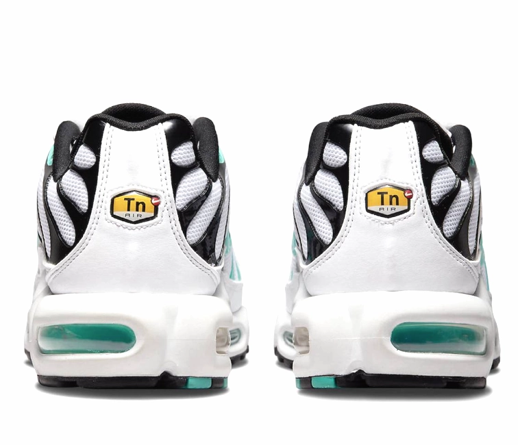 Mountain Run Men's Nike Air Max Plus TN (Tiffany OG)