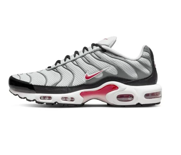comfortable running shoes Park running need Men's Nike Air Max Plus Tn (Photon Dust)