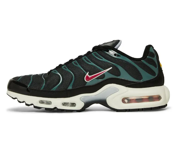 running in a valley shoes running on dirt shoes Men's Nike Air Max Plus TN (Anthracite/Teal)