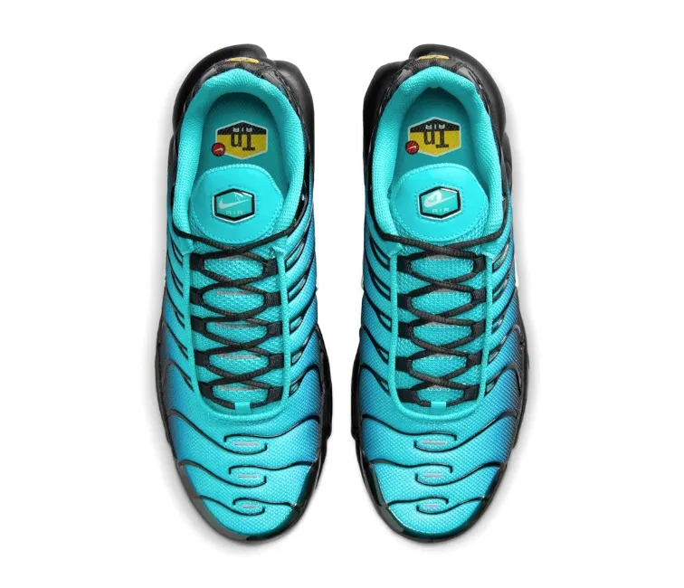 diving shoes Men's Nike Air Max Plus TN (Aqua)