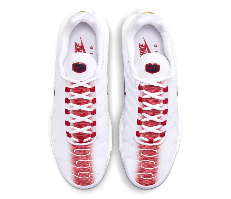 Mesh Upper Men's Nike Air Max Plus TN (Bloodshot)