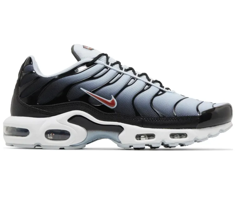 Men's Nike Air Max Plus TN (Blue Tint) Mesh winter - specific shoes
