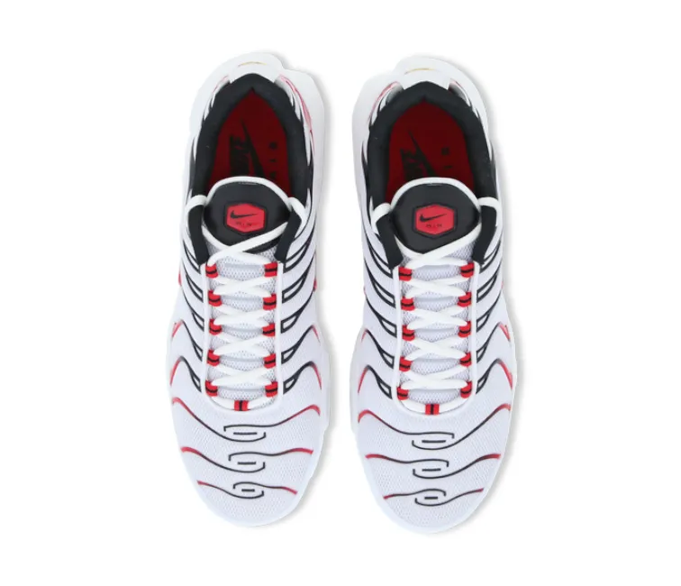 stress - relief running shoe motivation Energy absorbing Men's Nike Air Max Plus TN (Kombat)