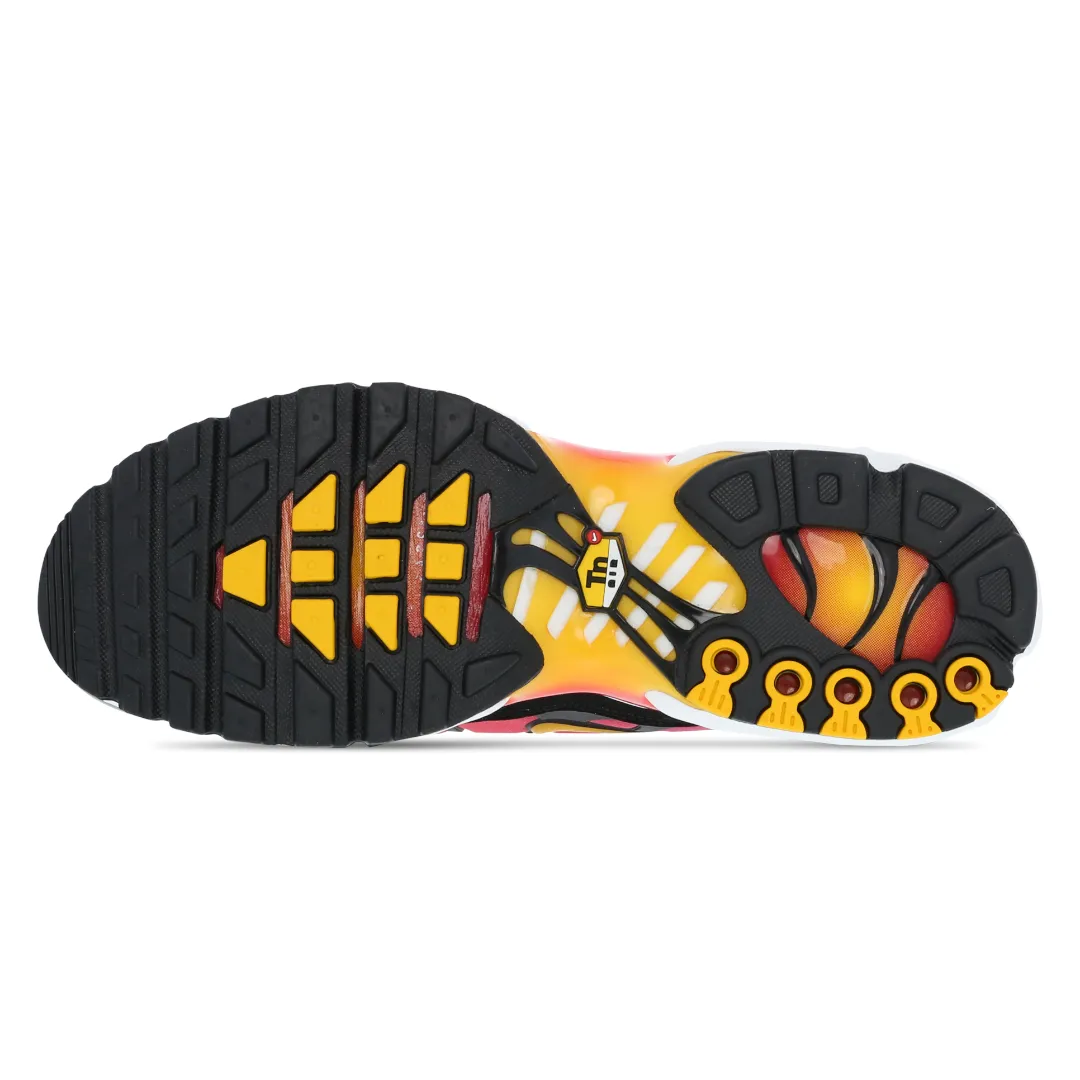 Mens Nike Air Max Plus TN Rainbow Retro motivation
