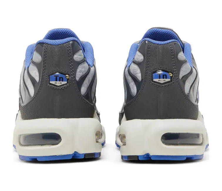 running in a gorge area shoes Men's Nike Air Max Plus TN (World Cup)