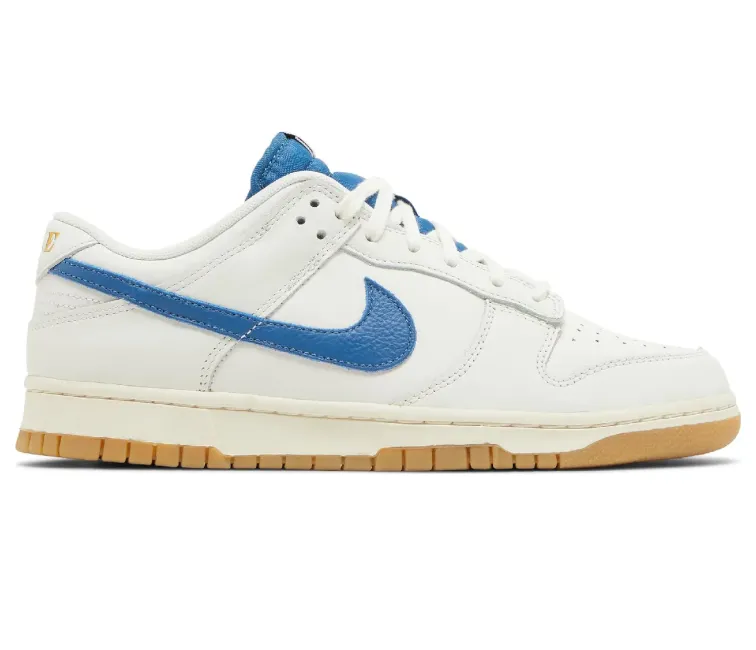 pirate - themed running gear political - event running wear Men's Nike Dunk Low SE (Sail/Blue)