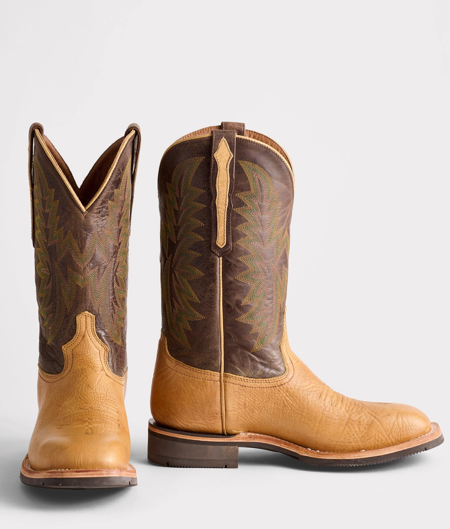 Rudy :: Tan   Chocolate Festival Ground