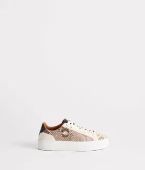 Mosaico Lace Up Sneaker :: White Modern Frame