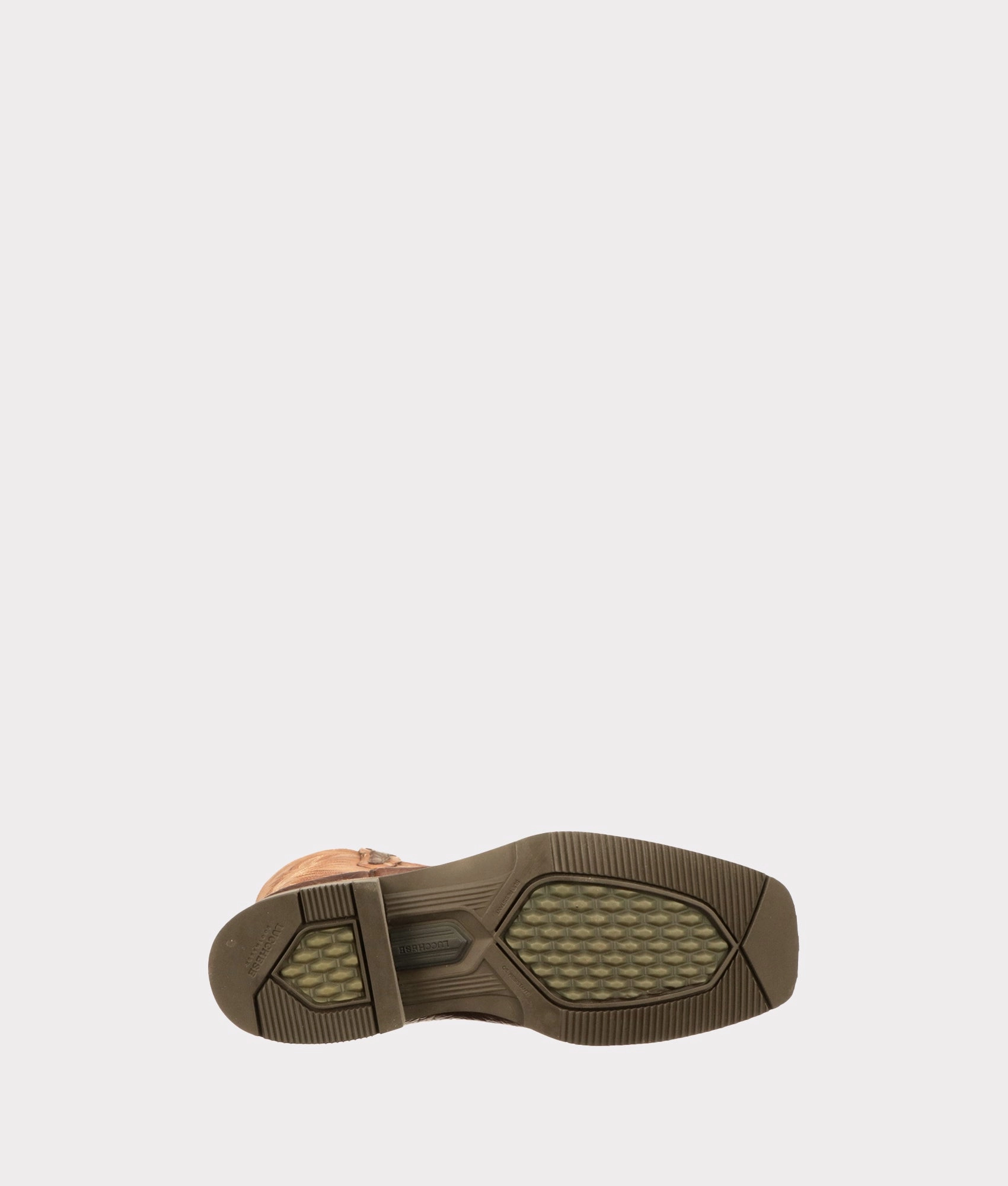 Rudy :: Chocolate   Peanut Animal Spot