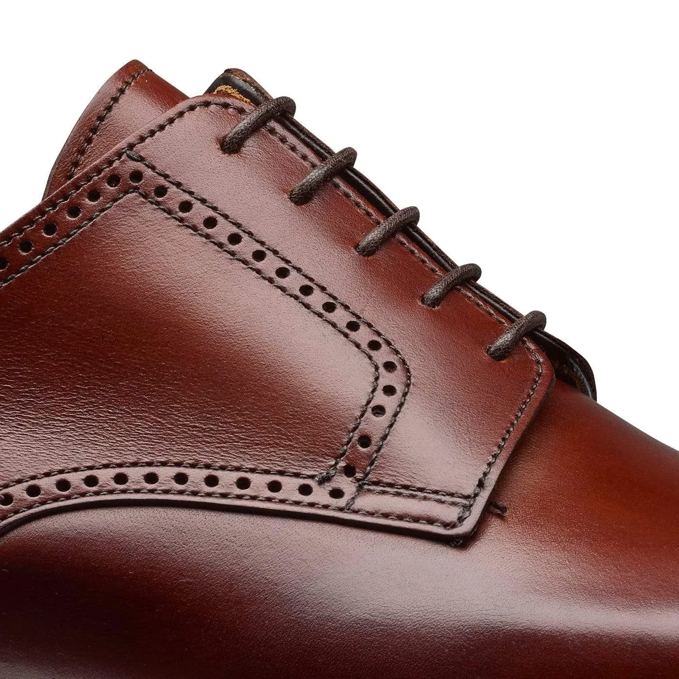 Daily Activity Padded collar Salisbury Chestnut Antique Calf