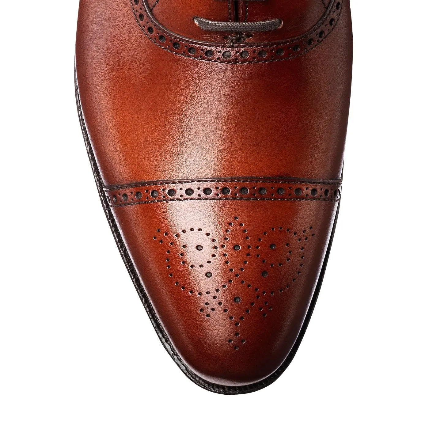Support Focus Malton Chestnut Burnished Calf