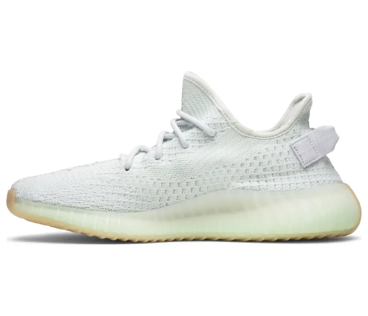 shoe cover Adidas Yeezy Boost 350 V2 (Hyper Space)