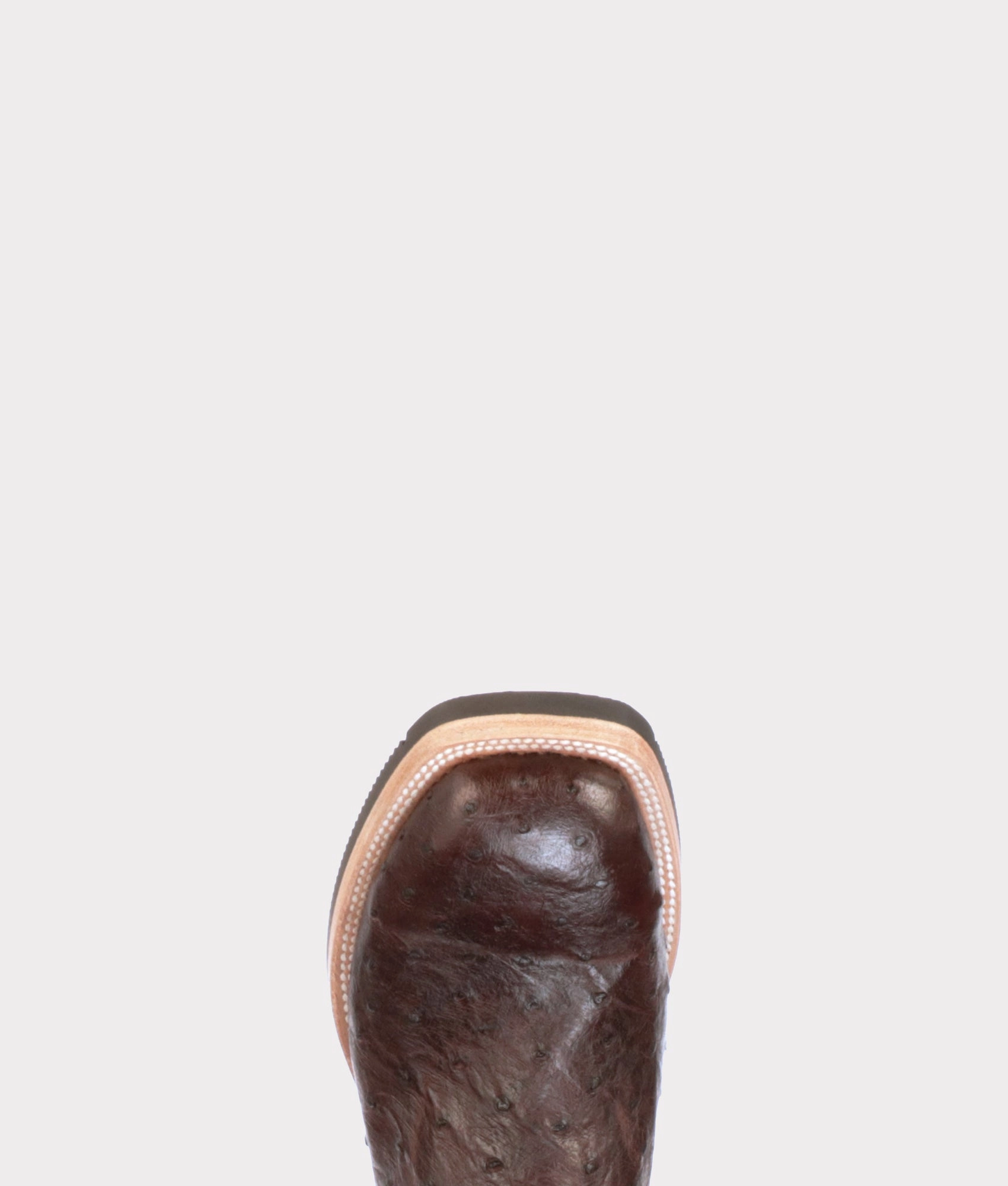 Rowdy Ostrich :: Antique Chocolate removable insoles Effortless Wear