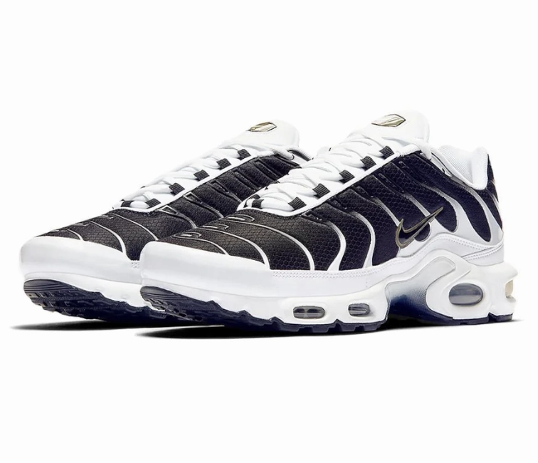 running in a desert oasis area shoes Men's Nike Air Max Plus TN (Killer Whale)