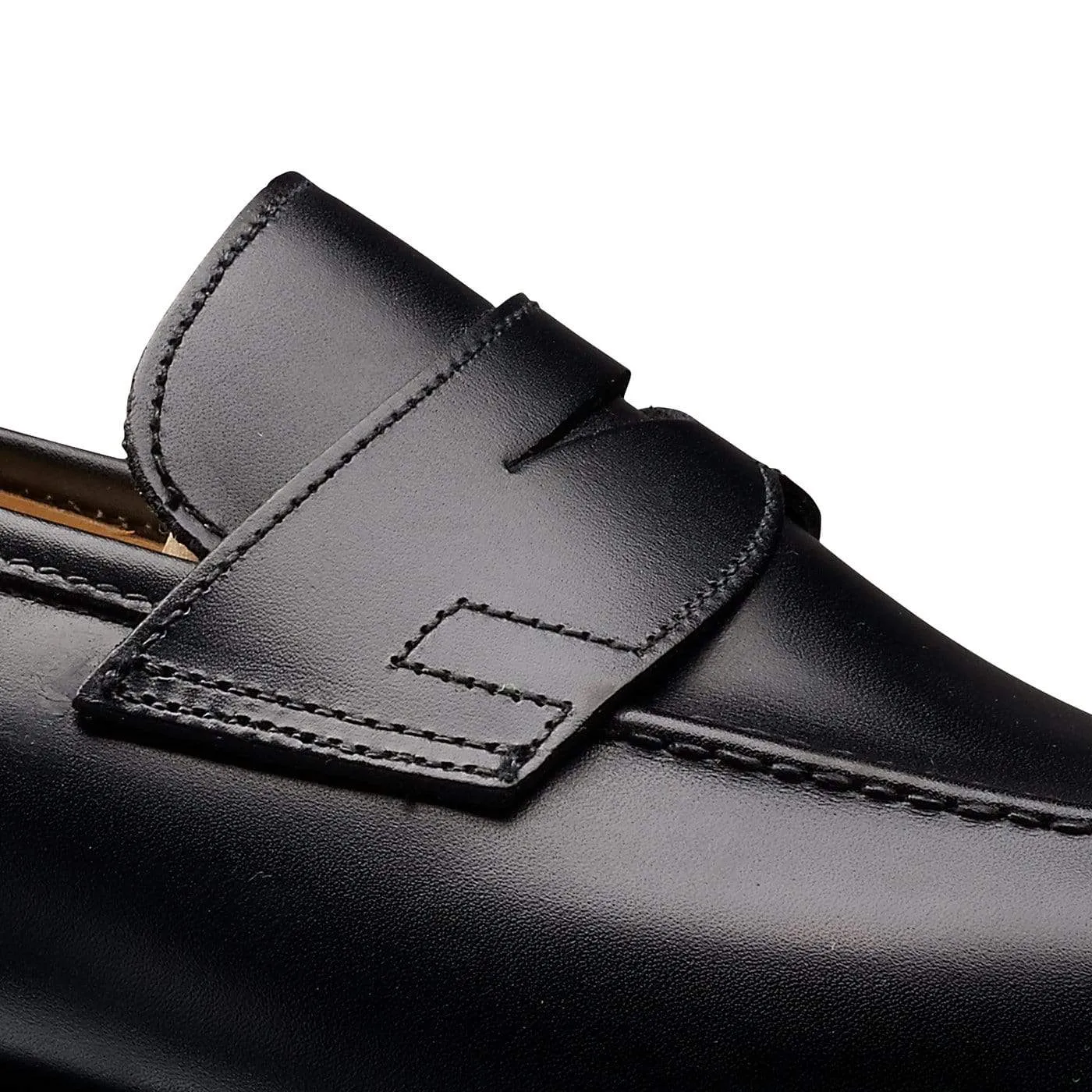 Sydney Black Calf Walking Day